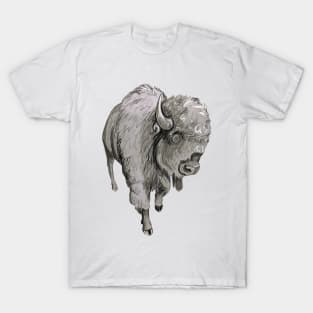 Bison Drawing T-Shirt